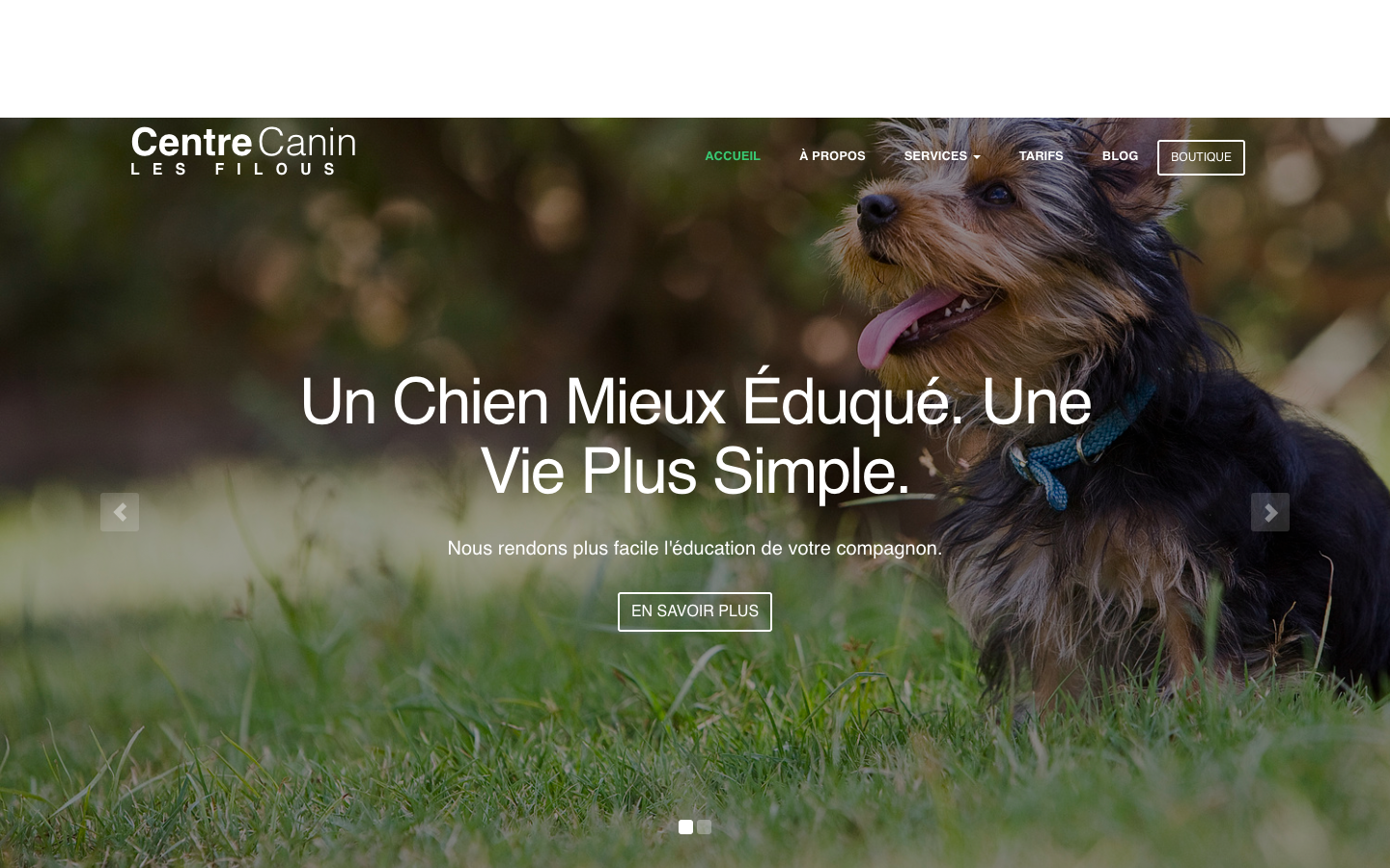 page d'acceuil du site web du centre canin les filous